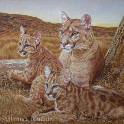 Watching You! - 111 hours
Brown Pastelmat Board
18.3" x 22.5"
3rd Place Harmony of Life, Golden Turtle competition 2017
Special Merit LightSpaceTime Watching You! - 111 hours
Brown Pastelmat Board
18.3" x 22.5"
3rd Place Harmony of Life, Golden Turtle competition 2017
Special Merit LightSpaceTime